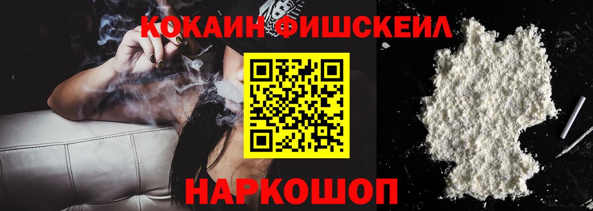 Елизово  Cocaine Fish Scale  Вход с VPN 