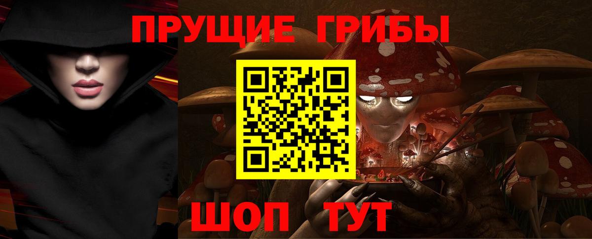 Галлюциногенные грибы мицелий  Вход с VPN  Елизово 